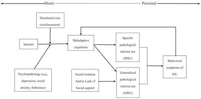 Reciprocal Relationship between Internet Addiction and Network-Related Maladaptive Cognition among Chinese College Freshmen: A Longitudinal Cross-Lagged Analysis